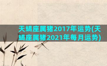 天蝎座属猪2017年运势(天蝎座属猪2021年每月运势)