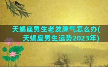 天蝎座男生老发脾气怎么办(天蝎座男生运势2023年)