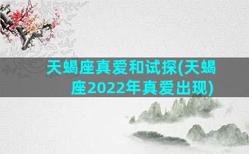 天蝎座真爱和试探(天蝎座2022年真爱出现)