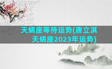 天蝎座等待运势(唐立淇天蝎座2023年运势)