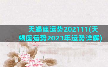 天蝎座运势202111(天蝎座运势2023年运势详解)