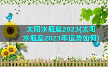 太阳水瓶座2023(太阳水瓶座2023年运势如何)