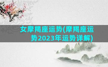 女摩羯座运势(摩羯座运势2023年运势详解)