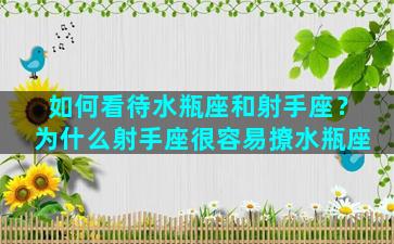 如何看待水瓶座和射手座？为什么射手座很容易撩水瓶座