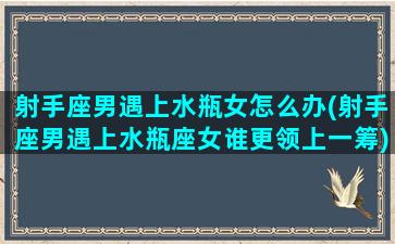 射手座男遇上水瓶女怎么办(射手座男遇上水瓶座女谁更领上一筹)