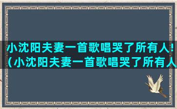 小沈阳夫妻一首歌唱哭了所有人!（小沈阳夫妻一首歌唱哭了所有人是哪首歌）(小沈阳最近唱的一首歌)