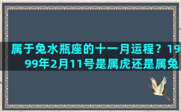 属于兔水瓶座的十一月运程？1999年2月11号是属虎还是属兔