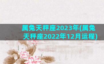 属兔天秤座2023年(属兔天秤座2022年12月运程)