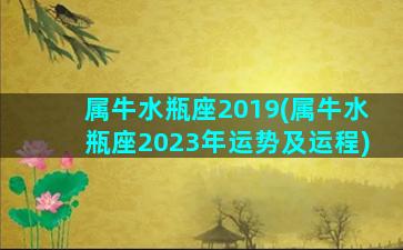 属牛水瓶座2019(属牛水瓶座2023年运势及运程)