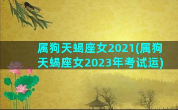 属狗天蝎座女2021(属狗天蝎座女2023年考试运)