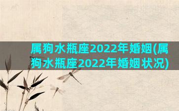 属狗水瓶座2022年婚姻(属狗水瓶座2022年婚姻状况)