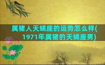 属猪人天蝎座的运势怎么样(1971年属猪的天蝎座男)