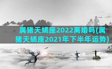 属猪天蝎座2022离婚吗(属猪天蝎座2021年下半年运势)