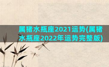 属猪水瓶座2021运势(属猪水瓶座2022年运势完整版)