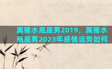 属猪水瓶座男2019，属猪水瓶座男2023年感情运势如何