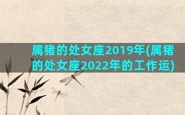 属猪的处女座2019年(属猪的处女座2022年的工作运)