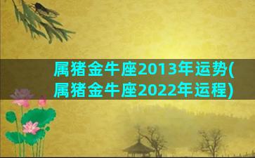 属猪金牛座2013年运势(属猪金牛座2022年运程)