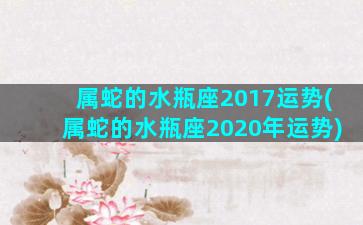 属蛇的水瓶座2017运势(属蛇的水瓶座2020年运势)