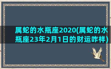 属蛇的水瓶座2020(属蛇的水瓶座23年2月1日的财运咋样)