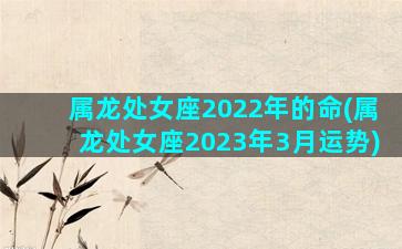 属龙处女座2022年的命(属龙处女座2023年3月运势)