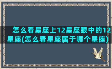 怎么看星座上12星座眼中的12星座(怎么看星座属于哪个星座)