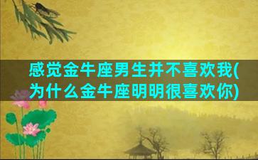 感觉金牛座男生并不喜欢我(为什么金牛座明明很喜欢你)