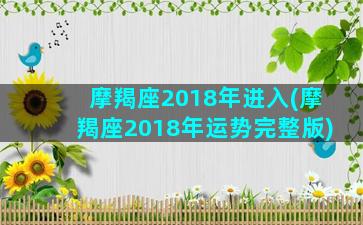 摩羯座2018年进入(摩羯座2018年运势完整版)