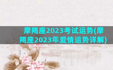 摩羯座2023考试运势(摩羯座2023年爱情运势详解)