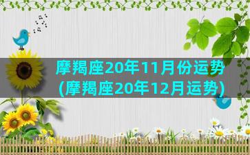 摩羯座20年11月份运势(摩羯座20年12月运势)