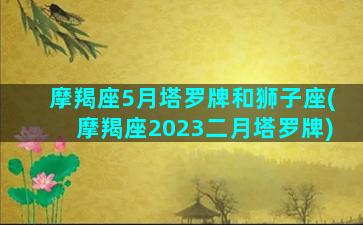 摩羯座5月塔罗牌和狮子座(摩羯座2023二月塔罗牌)