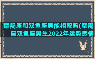 摩羯座和双鱼座男能相配吗(摩羯座双鱼座男生2022年运势感情)