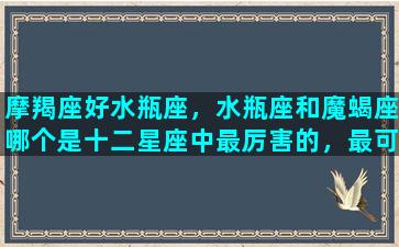 摩羯座好水瓶座，水瓶座和魔蝎座哪个是十二星座中最厉害的，最可怕的