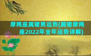 摩羯座属猪男运势(属猪摩羯座2022年全年运势详解)