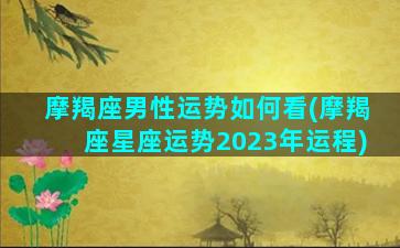 摩羯座男性运势如何看(摩羯座星座运势2023年运程)