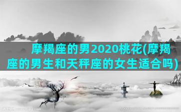 摩羯座的男2020桃花(摩羯座的男生和天秤座的女生适合吗)