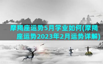 摩羯座运势5月学业如何(摩羯座运势2023年2月运势详解)