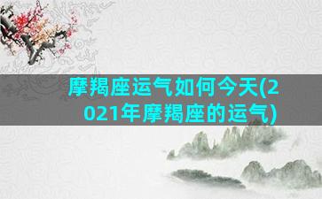 摩羯座运气如何今天(2021年摩羯座的运气)