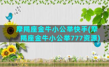 摩羯座金牛小公举快手(摩羯座金牛小公举777资源)