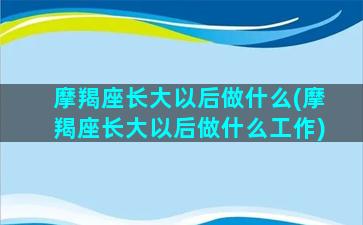 摩羯座长大以后做什么(摩羯座长大以后做什么工作)