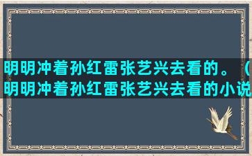 明明冲着孙红雷张艺兴去看的。（明明冲着孙红雷张艺兴去看的小说）