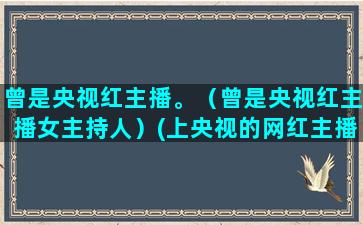 曾是央视红主播。（曾是央视红主播女主持人）(上央视的网红主播)