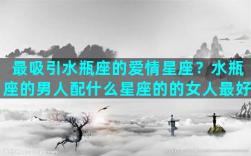 最吸引水瓶座的爱情星座？水瓶座的男人配什么星座的的女人最好