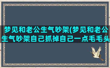 梦见和老公生气吵架(梦见和老公生气吵架自己抓掉自己一点毛毛头发)