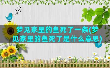 梦见家里的鱼死了一条(梦见家里的鱼死了是什么意思)