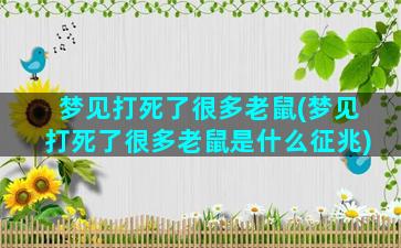 梦见打死了很多老鼠(梦见打死了很多老鼠是什么征兆)