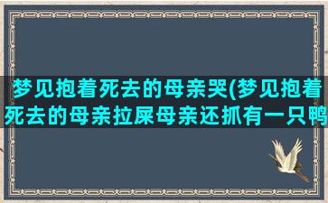 梦见抱着死去的母亲哭(梦见抱着死去的母亲拉屎母亲还抓有一只鸭给我)