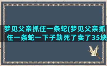 梦见父亲抓住一条蛇(梦见父亲抓住一条蛇一下子勒死了卖了35块)