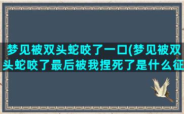 梦见被双头蛇咬了一口(梦见被双头蛇咬了最后被我捏死了是什么征兆)