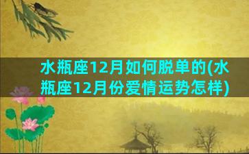 水瓶座12月如何脱单的(水瓶座12月份爱情运势怎样)