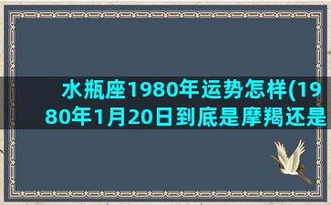 水瓶座1980年运势怎样(1980年1月20日到底是摩羯还是水瓶)